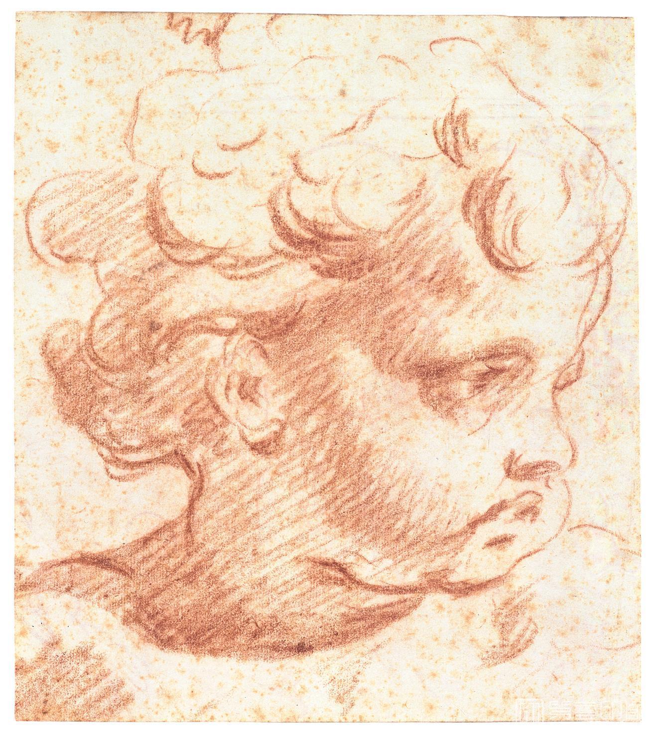 素描-西班牙普拉多美术馆素描藏画-Anonimo-Cabeza de nino-0082